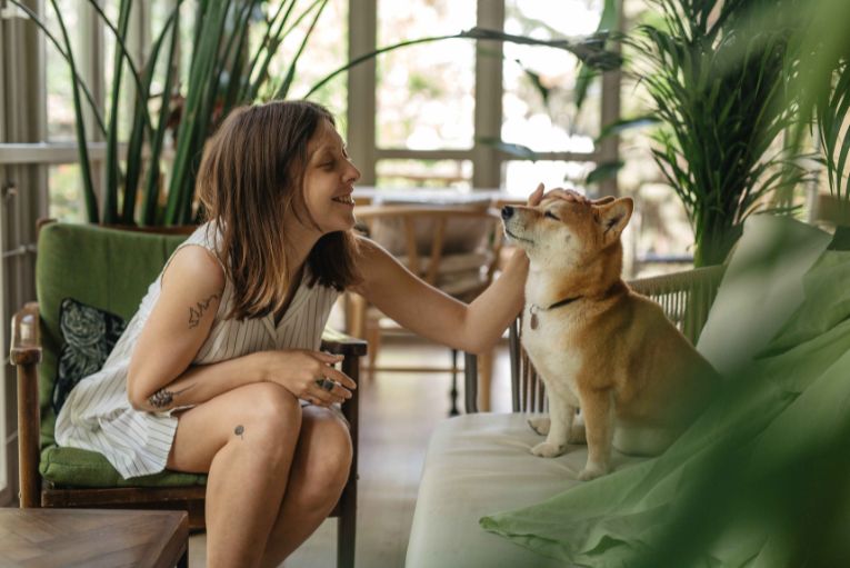 El lenguaje secreto de tu mascota: ¿qué intenta decirte tu amigo peludo?