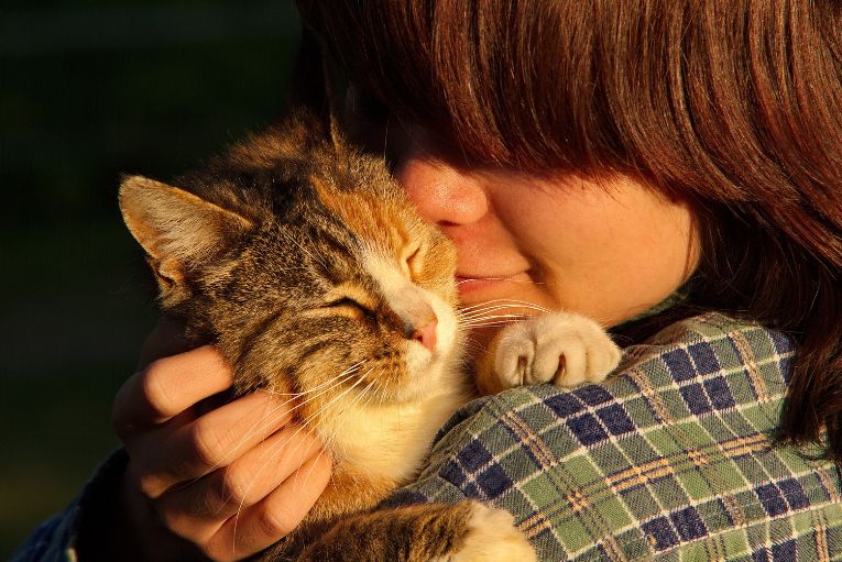 El primer mes en casa: Guía esencial para que tu mascota adoptada se sienta como en el paraíso